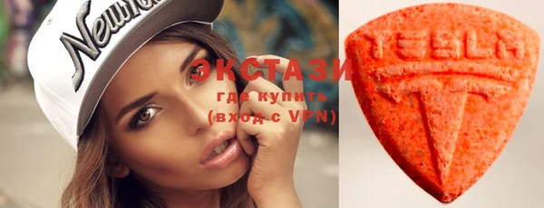 гашик Карпинск