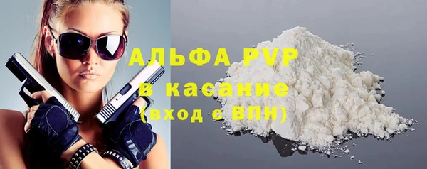 гашик Карпинск