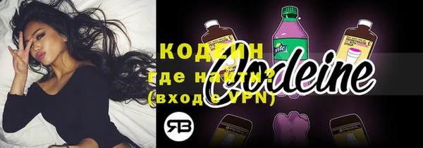 гашик Карпинск