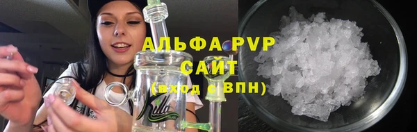 гашик Карпинск