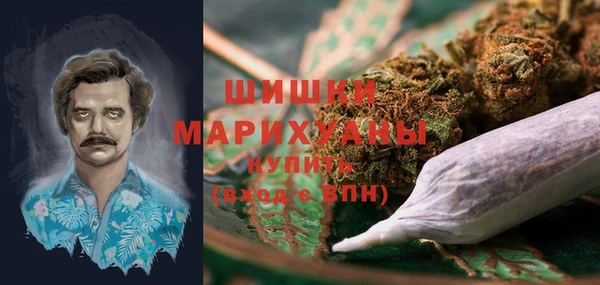 гашик Карпинск