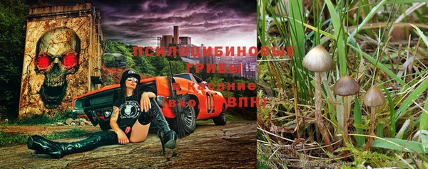 скорость mdpv Белая Холуница
