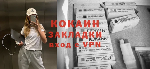 гашик Карпинск