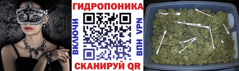 Шишки марихуана THC 21% Балабаново